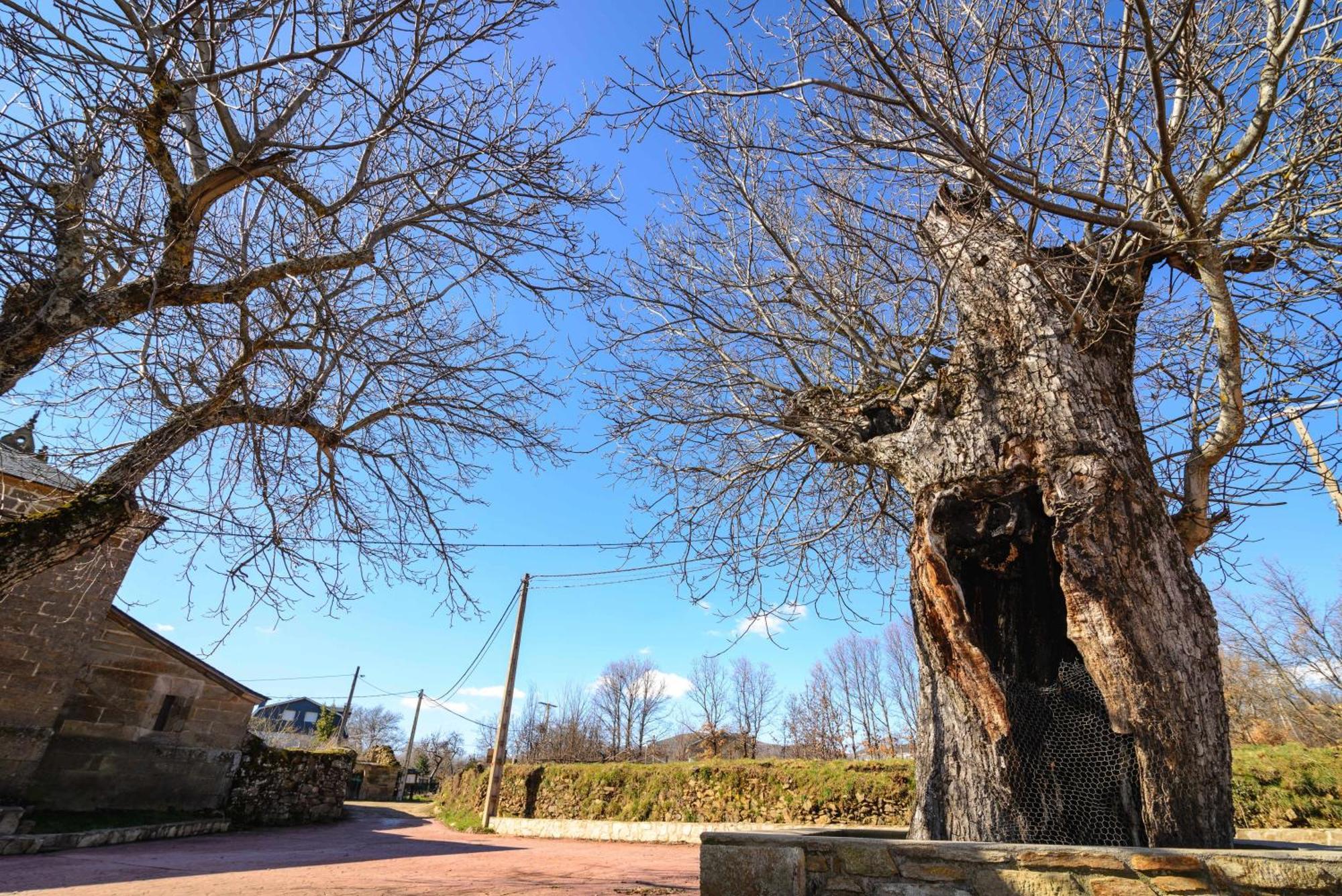 Casas Rurales San Justo Eksteriør bilde